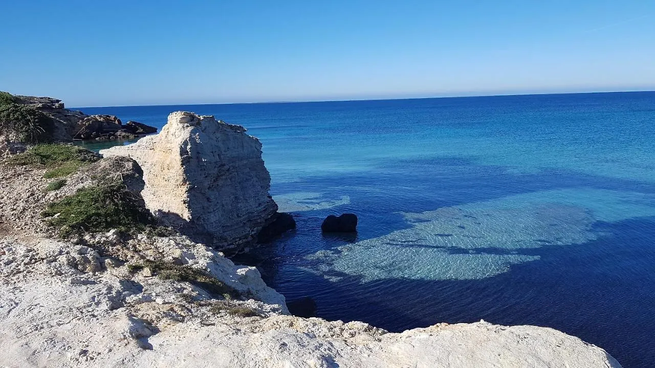L'Agrumeto Segreto Riola Sardo