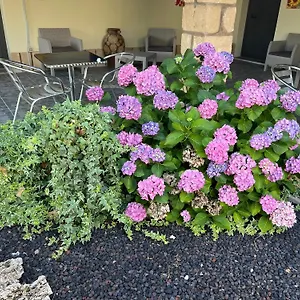 Alloggio per agriturismo Su Tasuru, Riola Sardo